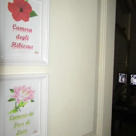 Bed & Breakfast Bed & Breakfast Stradanuova *